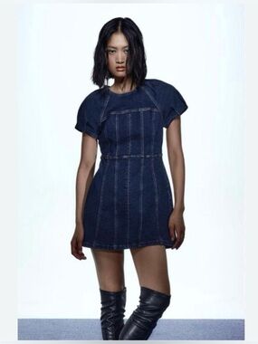 Zara Dark Blue Denim Mini Dress